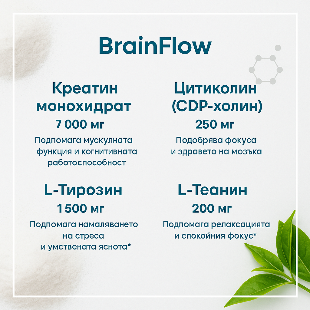 Brain Flow - 16 pack