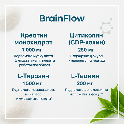 Brain Flow - 16 pack